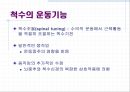 신경계 31페이지