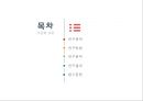 다문화 교육 - 우리나라 초등학교 다문화교육의 문제점 및 시사점 2페이지