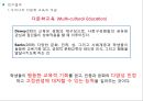 다문화 교육 - 우리나라 초등학교 다문화교육의 문제점 및 시사점 8페이지