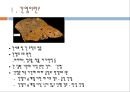 간염, hepatitis, 급성간염, Acute hepatitis, 만성간염, Chronic hepatitis, 기타간염, Other Hepatitis, 간염전파경로, 간염치료, 3페이지