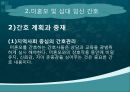 미혼모, 미혼모임신, 십대임신실태, 미혼모임신관련요인, 미혼모아기위험, 미혼모사회적지지, 미혼모간호, 십대임신간호, 미혼모임신예방, 십대임신예방, 성교육, 피임교육 17페이지