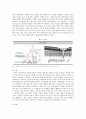 옥상녹화사례 : 옥상녹화의 사례 분석 ; 옥상녹화의 효과와 특성 7페이지