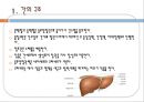 간,담도 및 췌장의 건강문제과 간호, 간의구조, 간의기능, 담도의구조, 담도의기능, 췌장의구조, 췌장의기능, 건강사정, 신체검진, 임상진단검사, 3페이지