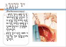 간,담도 및 췌장의 건강문제과 간호, 간의구조, 간의기능, 담도의구조, 담도의기능, 췌장의구조, 췌장의기능, 건강사정, 신체검진, 임상진단검사, 43페이지