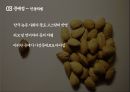 다문화 2세 - 코시안(kosian)에 관한 보고서 20페이지