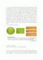 웰니스와 삶의 질 1 (2020대비 Wellness 1/2) 족보 입니다. 49페이지