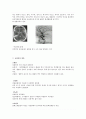 20. 뇌졸중, 성인병 4페이지