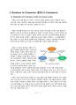 [경영정보관리][한국항공대] Business to Consumer (B2C) E-Commerce - 쿠팡 사례를 중심으로 2페이지