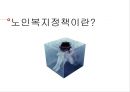 노인보건정책, 보건정책과 관련된 독거노인을 위한 프로그램, 노인에게 행해지는 프로그램, 노인복지정책, 노인의문제, 독거노인, 재가복지서비스, 3페이지