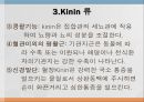 [약리학] Autacoid 및 이에 관련된 약물, Autacoid약물, Histamine, Serotonin, Kinin, Prostaglandin, Leukotrienes, A 59페이지