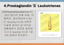 [약리학] Autacoid 및 이에 관련된 약물, Autacoid약물, Histamine, Serotonin, Kinin, Prostaglandin, Leukotrienes, A 70페이지