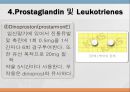 [약리학] Autacoid 및 이에 관련된 약물, Autacoid약물, Histamine, Serotonin, Kinin, Prostaglandin, Leukotrienes, A 74페이지