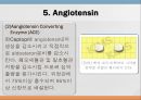[약리학] Autacoid 및 이에 관련된 약물, Autacoid약물, Histamine, Serotonin, Kinin, Prostaglandin, Leukotrienes, A 86페이지