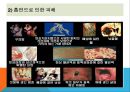 노인의 약물, 노인의 음주, 노인의 흡연, 노인의 약물사용실태, 노인에게 흔히 처방되는 약, 노인의 약물투약과 관련된 문제, 노인의 약물오남용, 노인의 약물복용과 간호, 노인의 음 31페이지