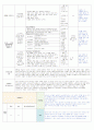 보육실습일지(어린이집) 4주연속 A+받은 일지입니다. 30페이지