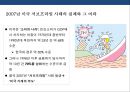 미국의 양적 완화정책(QE) 1, 2, 3차 , 종료선언 사례 & 양적완화 종료에 따른 국내 영향요소 : 서브프라임 모기지론 7페이지