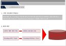 국내외 물류기업의 E-SCM 사례조사(대한통운과 Fedex) 16페이지