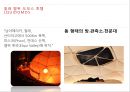 세계의 독특한 컨셉 concept (호텔시설.서비스등) 호텔사례 HOTEL CONCEPT marketing  [호텔 컨셉 ] 26페이지