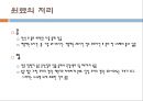 두류의 가공(장류의 제조.-간장된장고추장) 28페이지