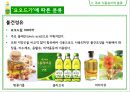 식용유지 16페이지