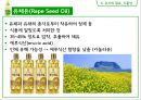 식용유지 39페이지
