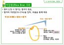 식용유지 43페이지