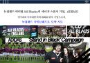 아디다스[Adidas]의 글로벌 마케팅전략 현지화 성공 사례 분석[뉴질랜드.Stand in black. 일본 .Sky Comic] 3페이지