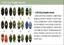 골프(Golf)의 정의·특징·역사·구성요소·신체적 영향 등 종합 내용 PPT 27페이지