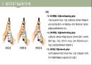 골프(Golf)의 정의·특징·역사·구성요소·신체적 영향 등 종합 내용 PPT 30페이지