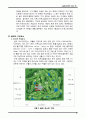 골프(Golf)의 정의·특징·역사·구성요소·신체적 영향 등 종합 내용 레포트 7페이지