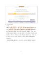 제주항공의 경영분석과 마케팅믹스전략 17페이지