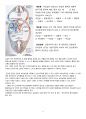 성인간호학실습 심부전 heart failure case study 5페이지