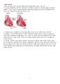 성인간호학실습 심부전 heart failure case study 6페이지