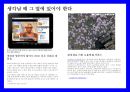 트렌드워칭[Trend Watching] & 메가트랜드 인 코리아[Megatrends In Korea]  - 트랜드 예측 19페이지