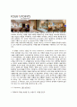 Starwood 그룹 경영전략  (Starwood) 7페이지