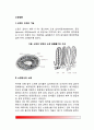 [소장질환] 소장의 구조와 기능 및 소장질환(급성장염, 만성장염, 크론병-국부성 장염, 글루텐 과민성 장질환, 열대성 스푸루, 이당류 흡수불량증) 2페이지
