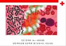 [염색체 질환의 병태] 염색체 질환의 병태 생리(상염색체 질환,  성염색체 질환) 3페이지