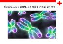 [염색체 질환의 병태] 염색체 질환의 병태 생리(상염색체 질환,  성염색체 질환) 4페이지
