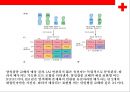 [염색체 질환의 병태] 염색체 질환의 병태 생리(상염색체 질환,  성염색체 질환) 5페이지