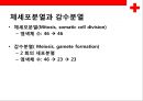 [염색체 질환의 병태] 염색체 질환의 병태 생리(상염색체 질환,  성염색체 질환) 11페이지