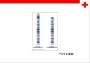 [염색체 질환의 병태] 염색체 질환의 병태 생리(상염색체 질환,  성염색체 질환) 23페이지