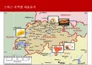 스위스 음식문화의 이해[Food Culture in Switzerland]  [스위스 음식문화 ] 8페이지