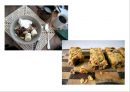 스위스 음식문화의 이해[Food Culture in Switzerland]  [스위스 음식문화 ] 17페이지