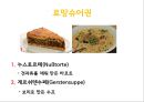 스위스 음식문화의 이해[Food Culture in Switzerland]  [스위스 음식문화 ] 36페이지
