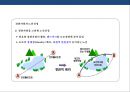 도로경관의 이해 및 설계  (도로경관의 이해 ) 19페이지