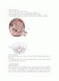 [2015년 2학기] 커피와 바리스타 족보 및 기출입니다~~^^ 78페이지