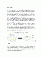 [비만합병증] 비만의 합병증(고혈압,당뇨병,고지혈증,지방간,암,고요산혈증) 2페이지