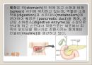 췌장염과 폐쇄성 황달 3페이지