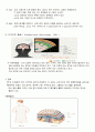 성인간호학 SAH 지주막하 출혈 case 5페이지