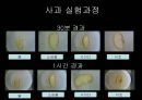 사과의 갈변현상. 9페이지